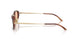 616273 - Tortoise - Light Brown