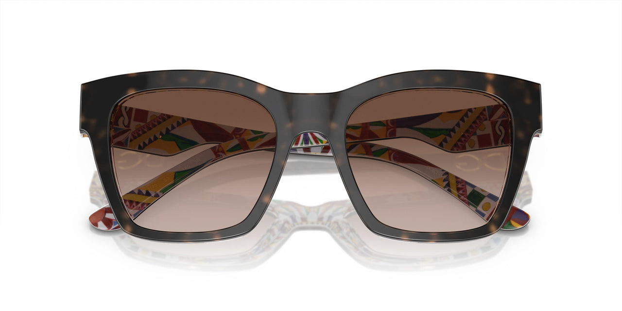 321773 - Tortoise - Brown Gradient