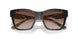 321773 - Tortoise - Brown Gradient