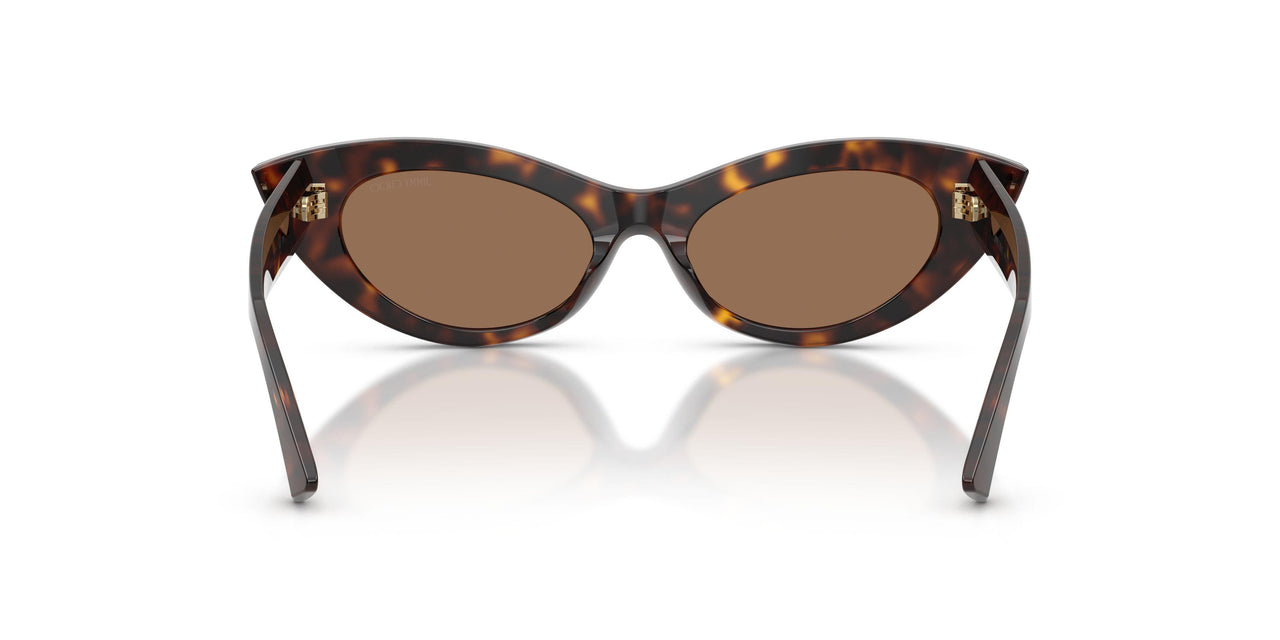 500273 - Tortoise - Dark Brown