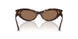 500273 - Tortoise - Dark Brown