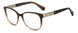 009Q-00 - BROWN