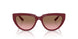 304814 - Red - Pink Gradient Brown