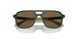 312673 - Green - Dark Brown