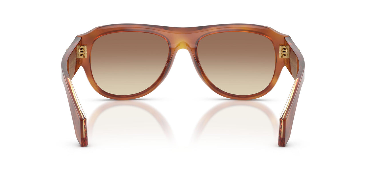 926/13 - Brown - Brown Gradient