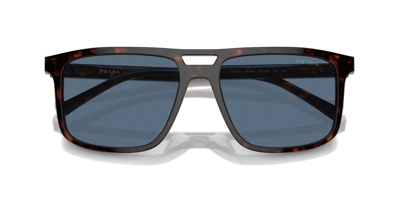 17N06A - Tortoise - Dark Blue
