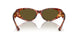 543773 - Tortoise - Dark Brown