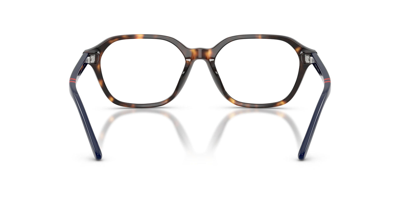 5003 - Tortoise
