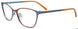 10 - Copper Brown & L. Blue Trim