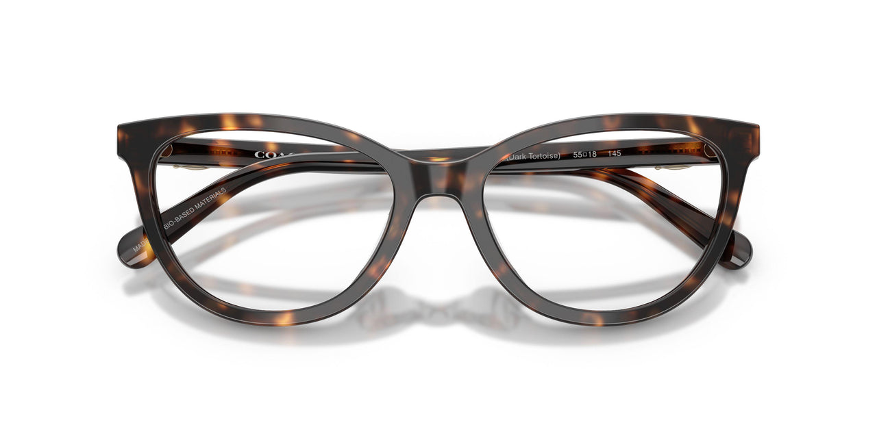 5120 - Tortoise