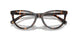 5120 - Tortoise