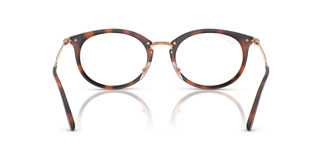 5687 - Brown - Clear