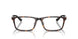 5026 - Tortoise