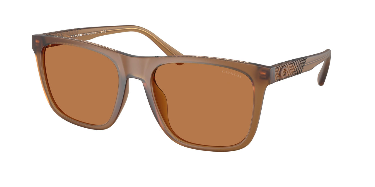 Coach Cae78 8427U Sunglasses
