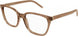 006 - Brown - Transparent