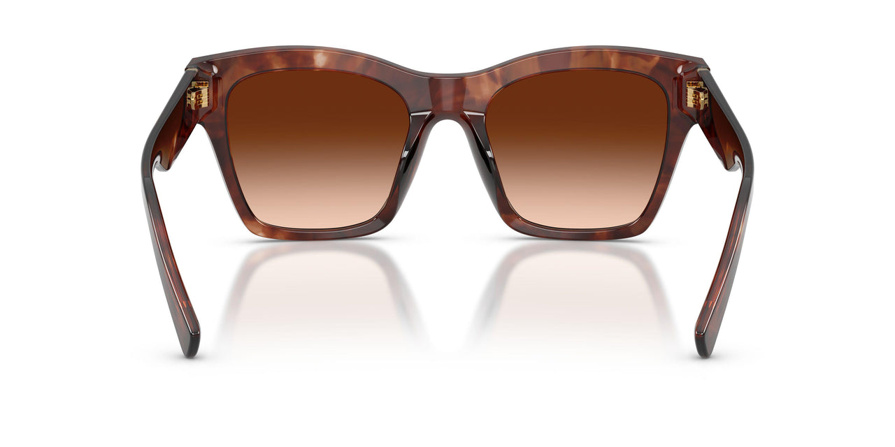 322274 - Red - Brown Gradient
