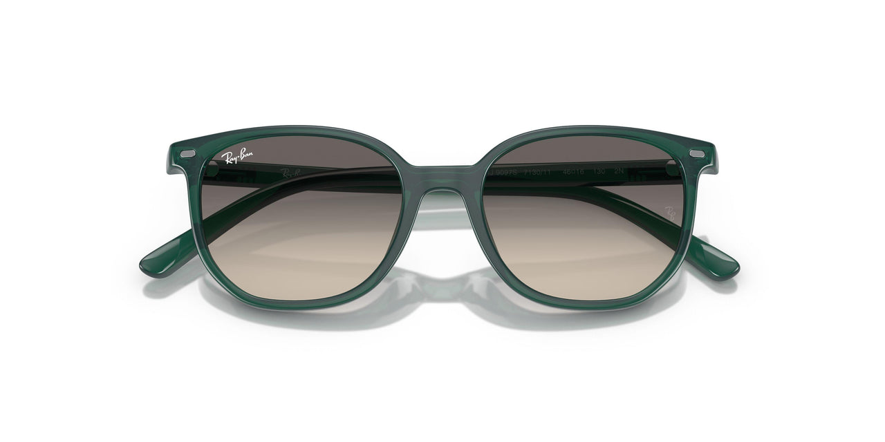 713011 - Green - Grey