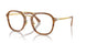 960 - Tortoise - Clear