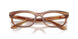 8399 - Tortoise - Clear