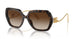502/13 - Tortoise - Gradient Brown