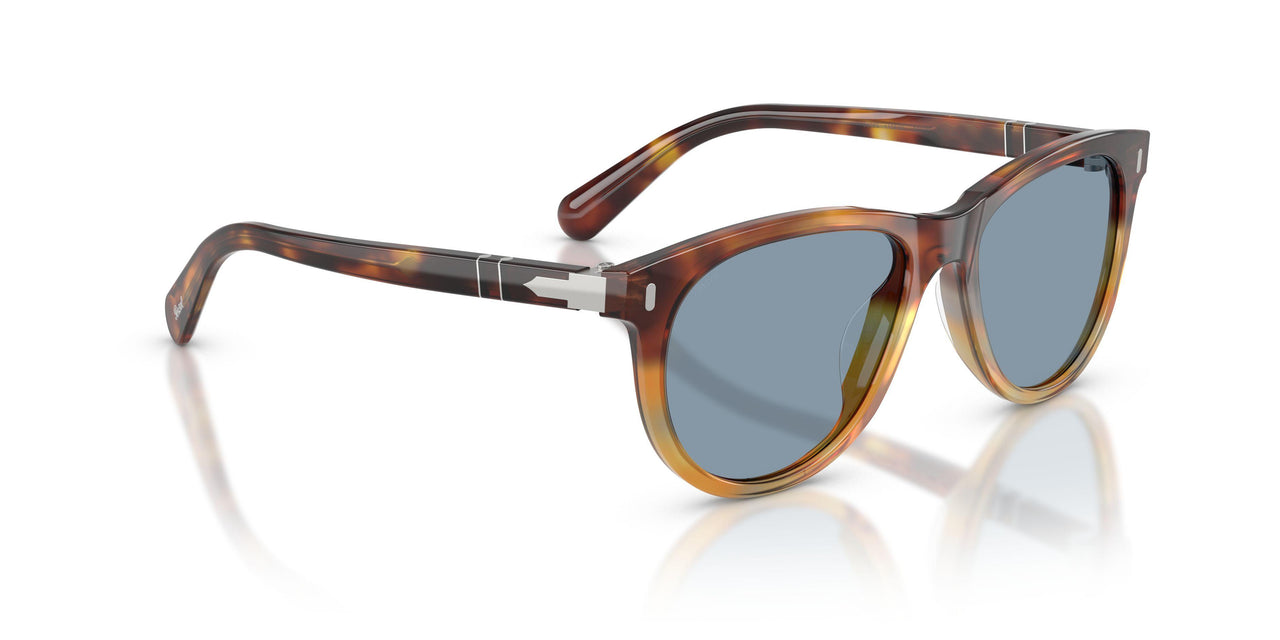 115856 - Tortoise - Light Blue