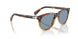 115856 - Tortoise - Light Blue