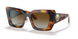 3316T5 - Havana - Brown Gradient Polar