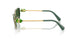 403371 - Green - Dark Green