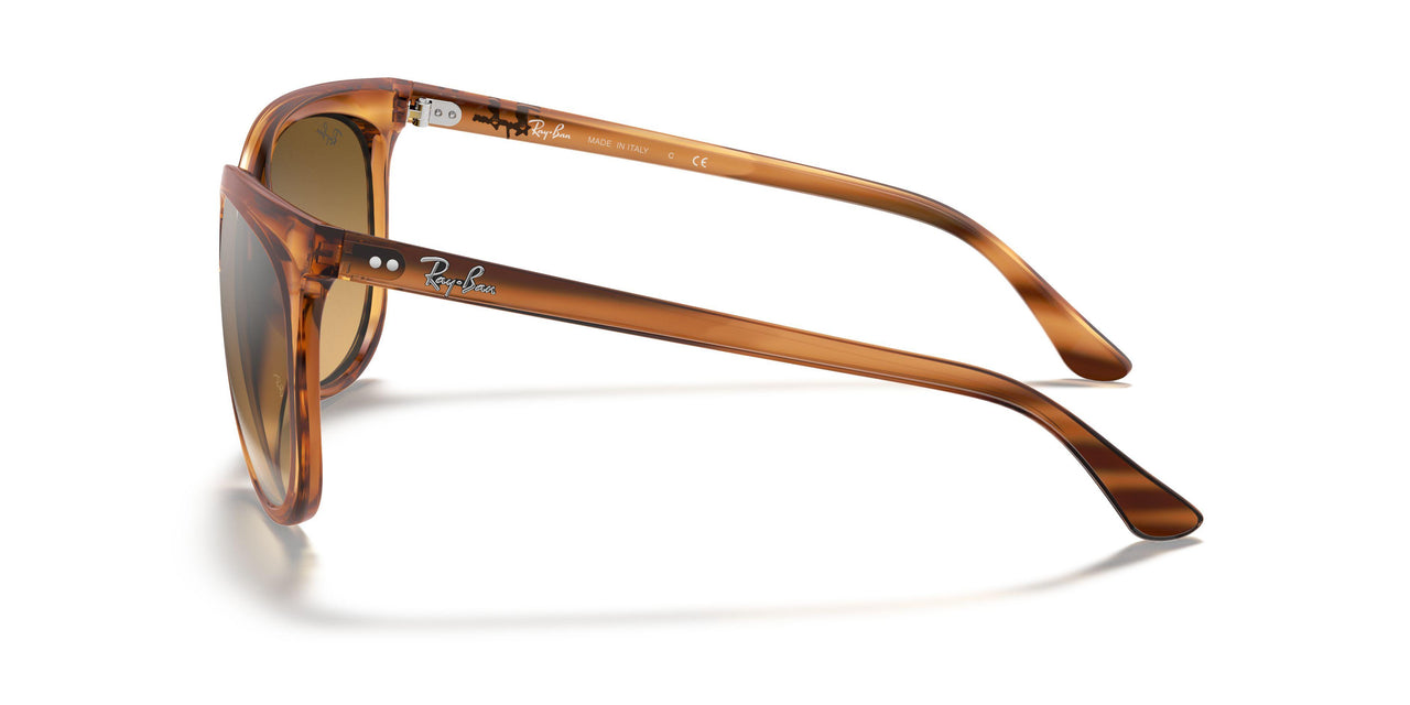 820/3K - Havana - Brown Mirror Gradient Grey