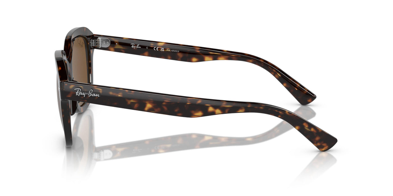 902/57 - Tortoise - Brown