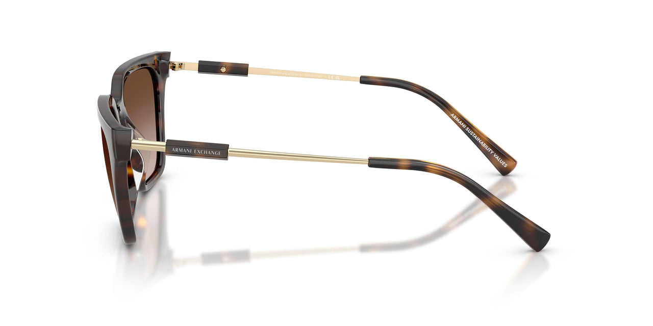 821313 - Tortoise - Gradient Brown