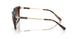 821313 - Tortoise - Gradient Brown