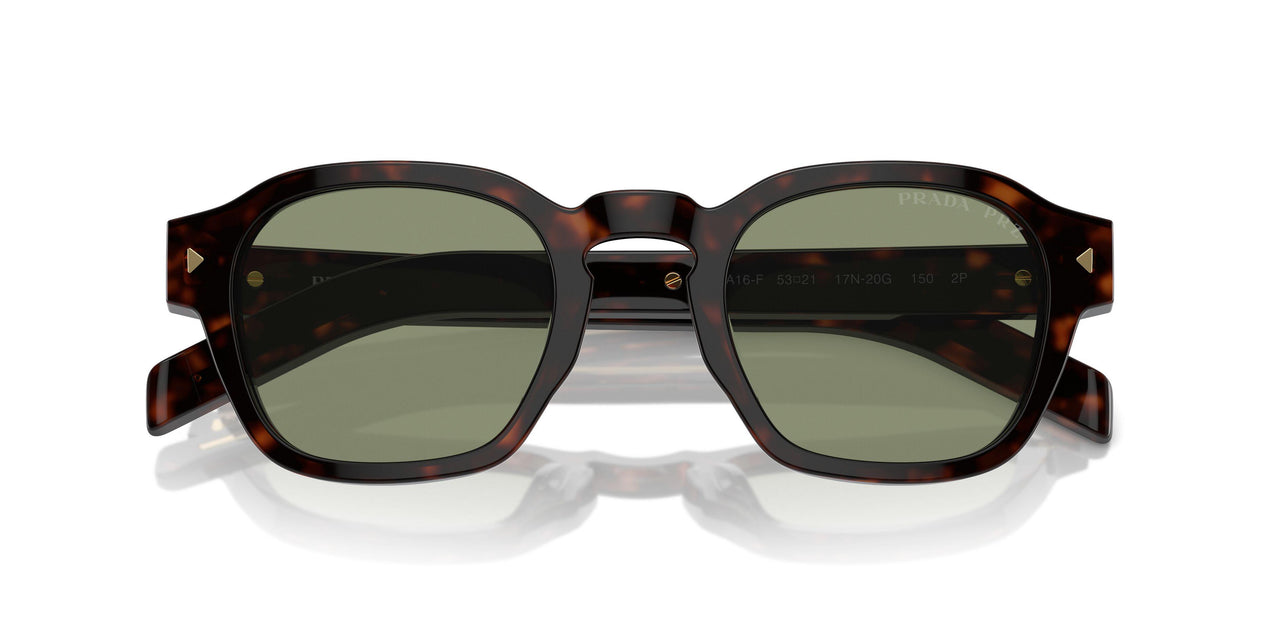 17N20G - Havana - Polarized Green
