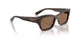 W65673 - Brown - Dark Brown