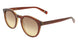 Paul Smith PS26601S POULCOTT Sunglasses