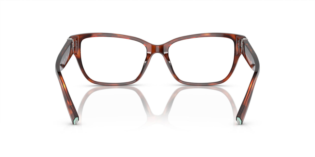 8002 - Tortoise