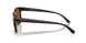 302783 - Brown - Dark Brown Polarized