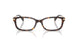 5120 - Tortoise