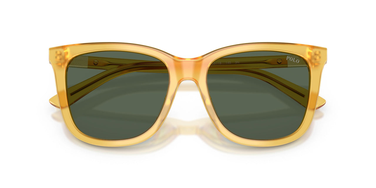 500571 - Yellow - Green