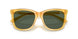 500571 - Yellow - Green