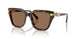 100273 - Tortoise - Dark Brown