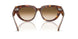 141451 - Tortoise - Clear Gradient Brown