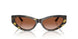 547013 - Tortoise - Brown Gradient