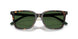 500371 - Tortoise - Bottle Green