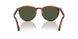 115731 - Brown - Green