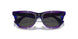 411387 - Violet - Dark Grey