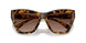 3006T5 - Tortoise - Brown Gradient Polar