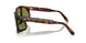 24/4E - Tortoise - Green