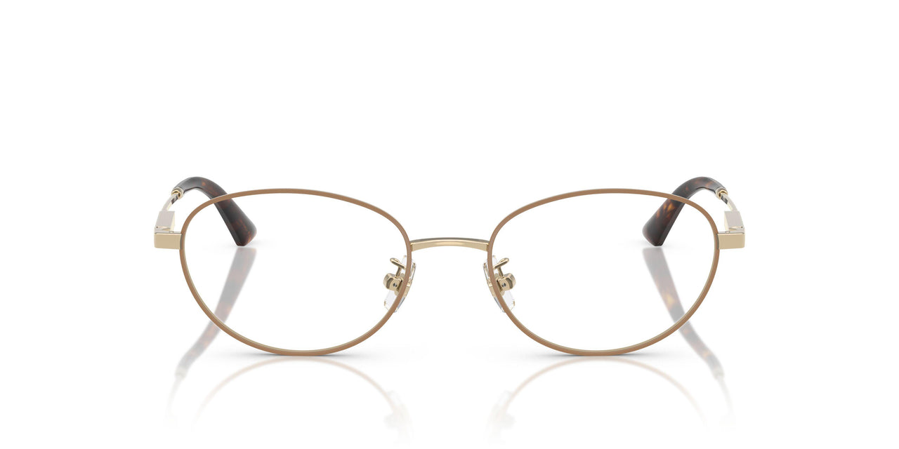 3019 - Brown