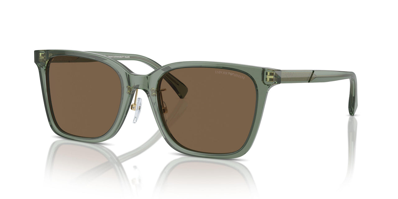 536273 - Green - Dark Brown